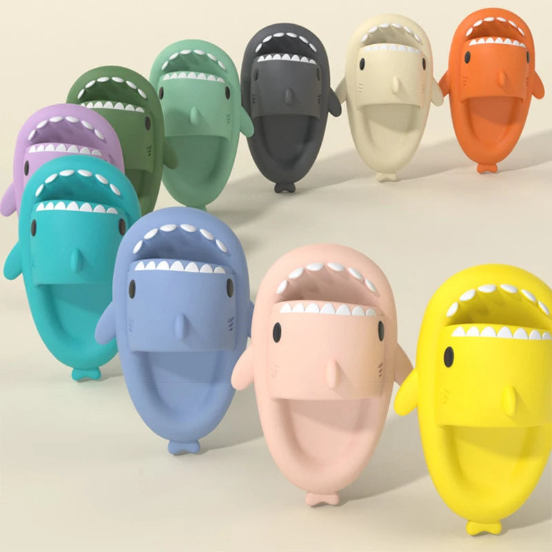 Claquette shark