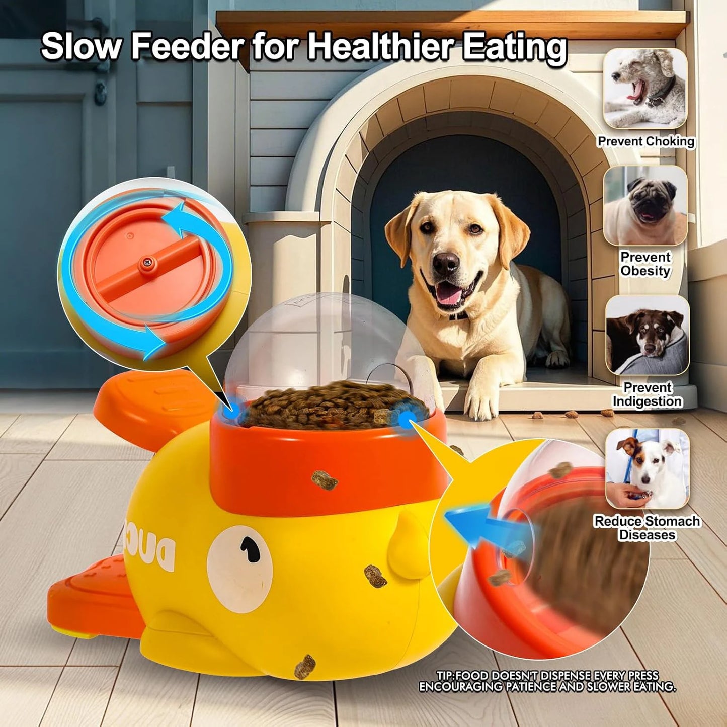 Distributeur de Croquettes et Jouet Interactif – Design Canard