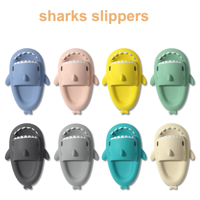 Claquette shark