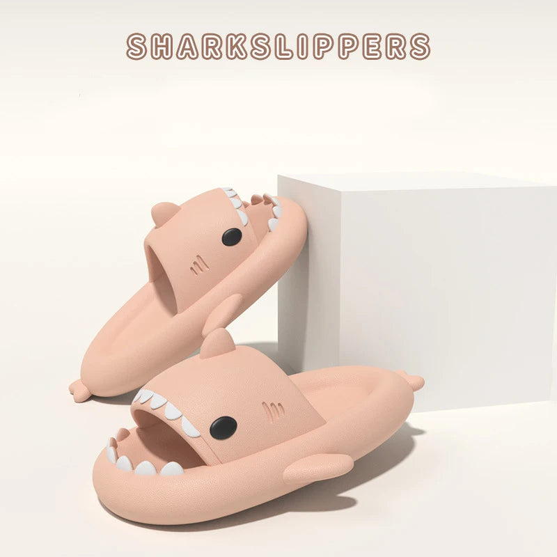 Claquette shark